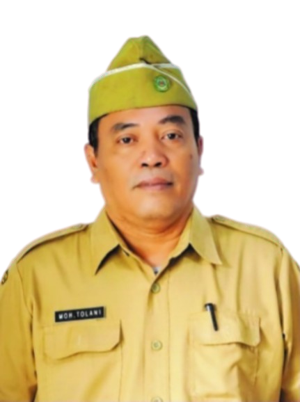 MOH. TOLANI, S.IP., S.T., M.T.